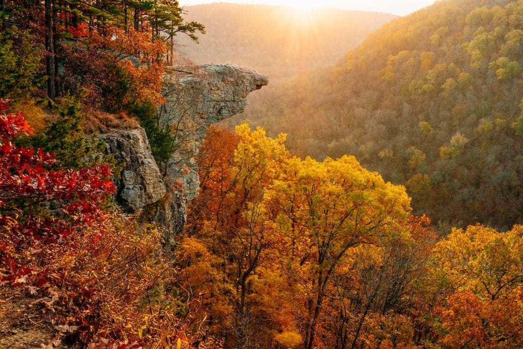 Fall color at Whitaker Point, also known as Hawksbill Crag, in Arkansas.