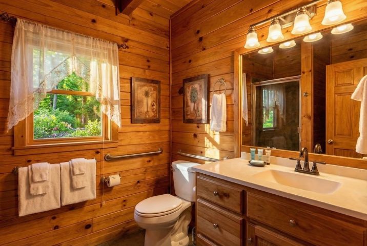 Mountain Ecstasy Bathroom