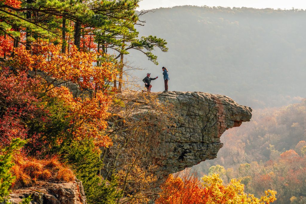 Proposal on Whitaker Point