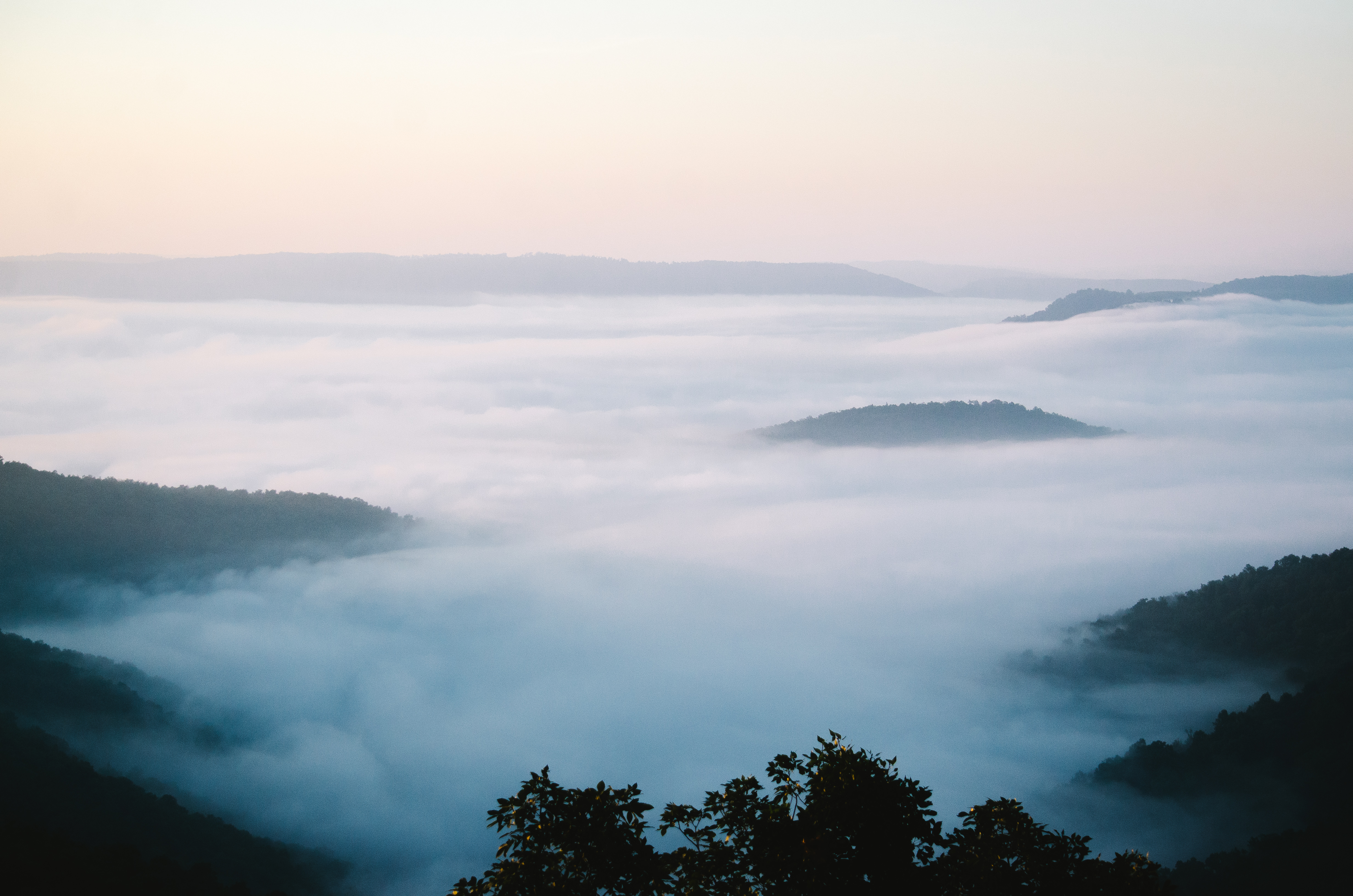 Cabin X Mist